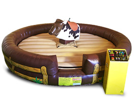 Mechanical Bull